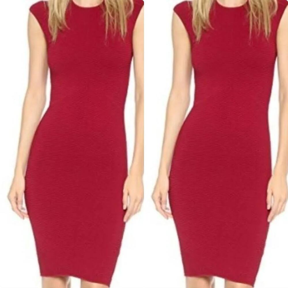 NWOT $378 RONNY Kobo M Kikimora Dress bodycon ribbed